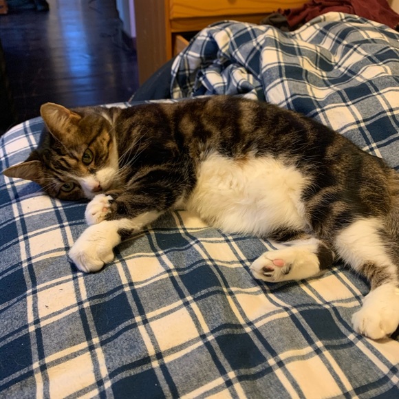 Meet your Posher, Caleb - Picture 1 of 1